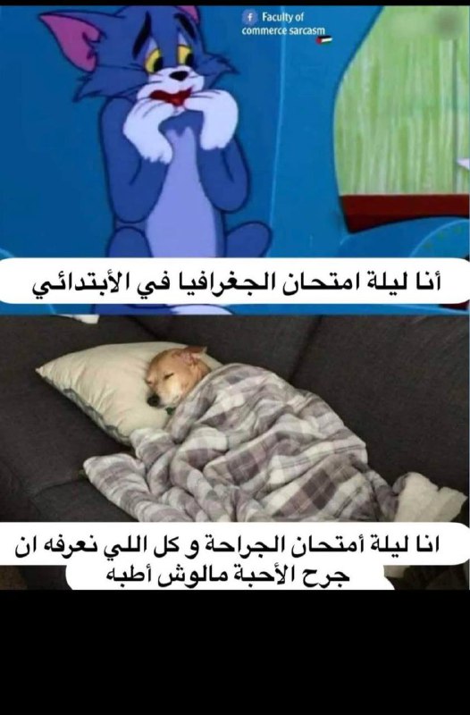 مايقلقنيش ***?***