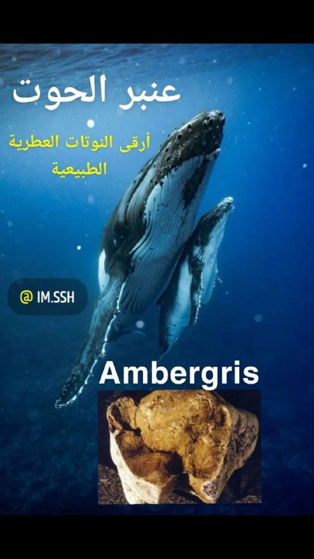 قناتي_للعطور والبخور