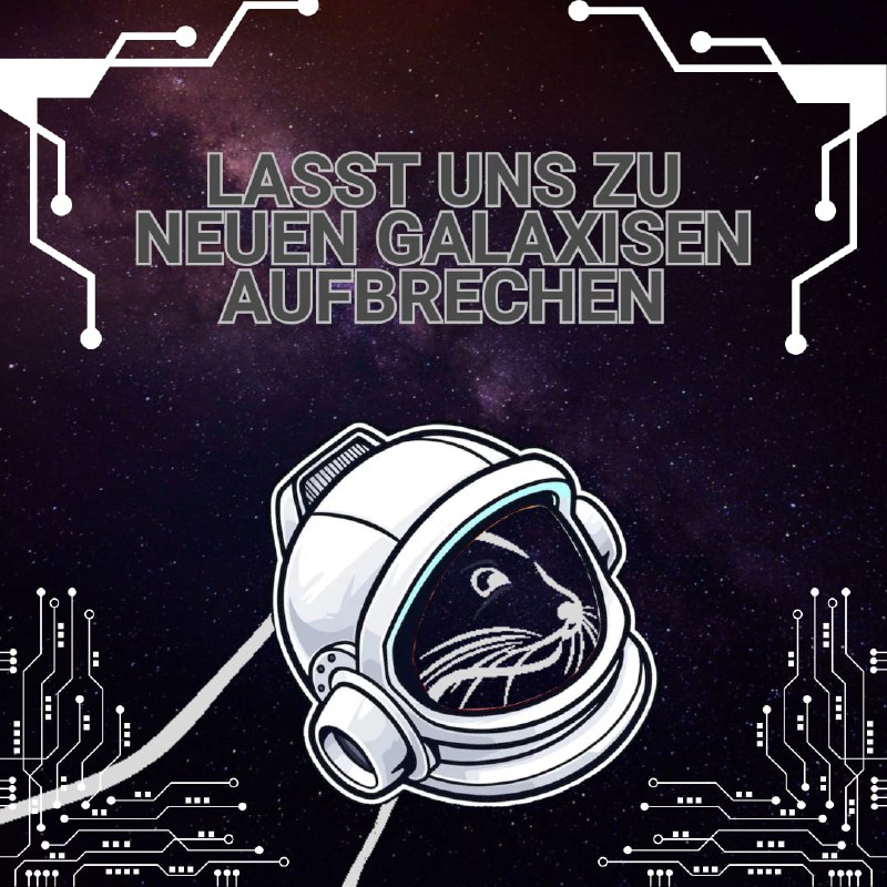 Langsam scheinen wir alle im Jahr …