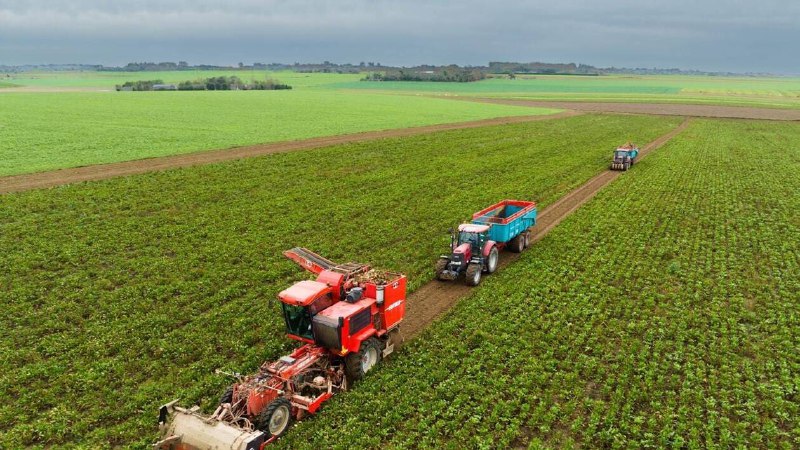 Agriculture : le Sénat ouvre la …