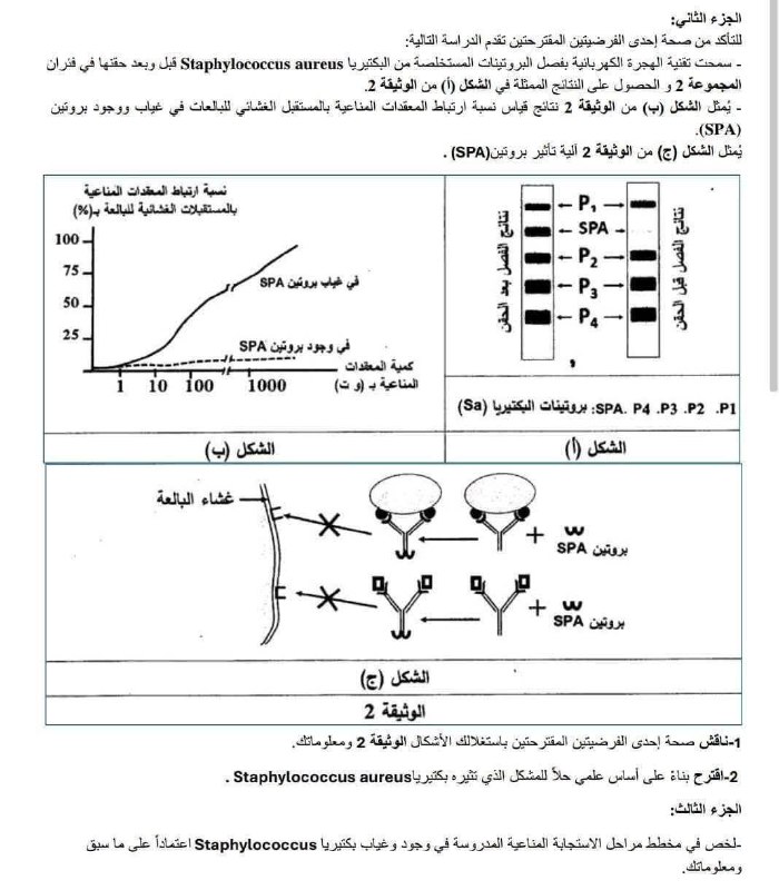 🧪🌡مهمات علوم الطبيعة والحياة -بومدين أحمد …
