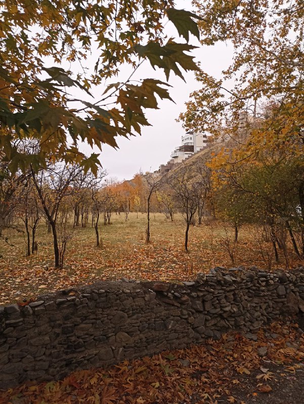 ارضاء روحی