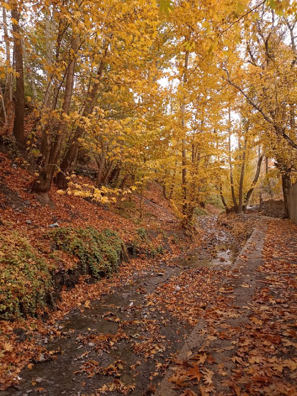 ارضاء روحی