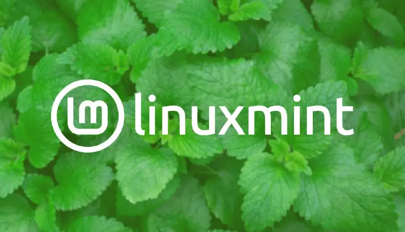 Linux Mint 22: Codename &amp; New Cinnamon Feature Revealed - OMG! Ubuntu