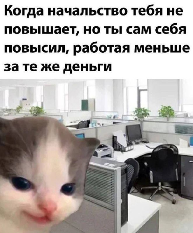 We shall overmeme