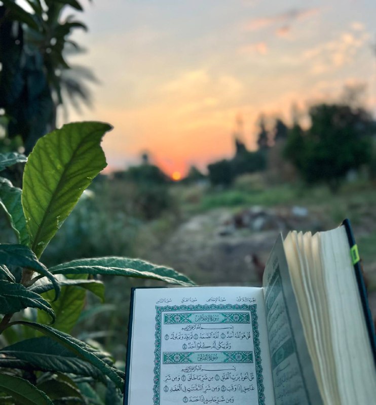بَتَلة !.