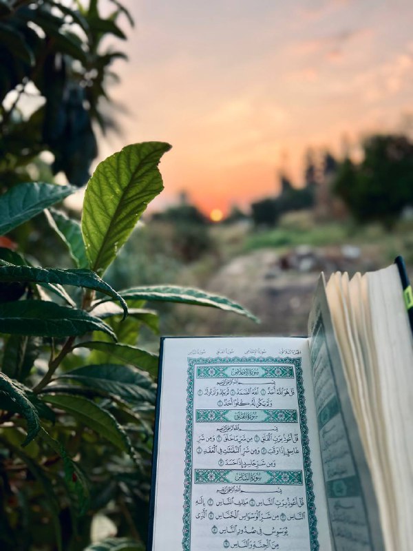 بَتَلة !.