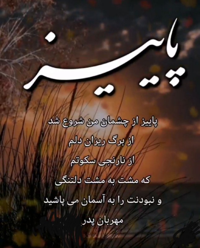 کاش میتوانستم بنویسم