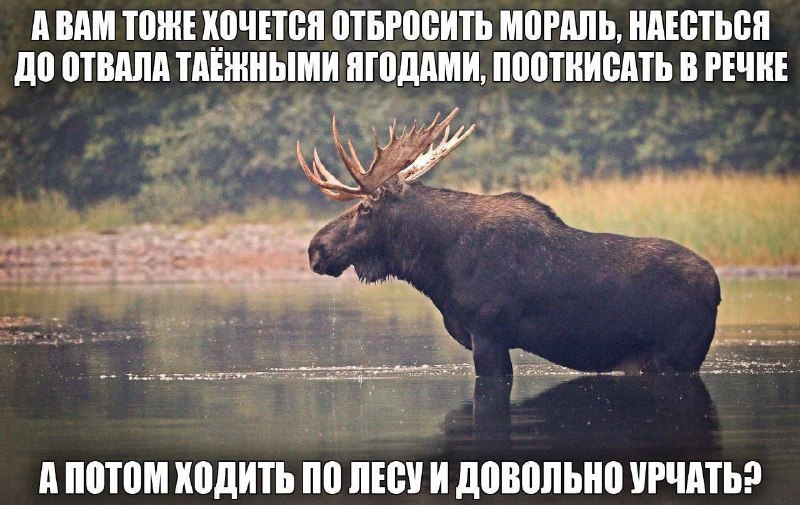 Мемы про язычников