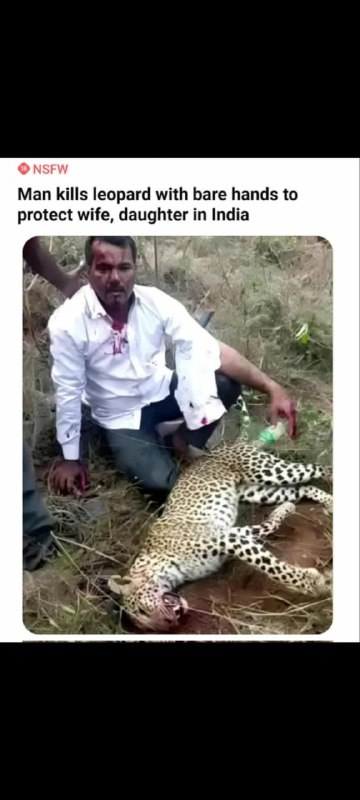 That animal is worth more than …