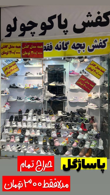 کفش خانواده پاکوچولو ساری?