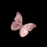 [قروب دردشه للبنات فقط ***?******♥️***](https://t.me/+J1wMtQTMe5NiMmJk)