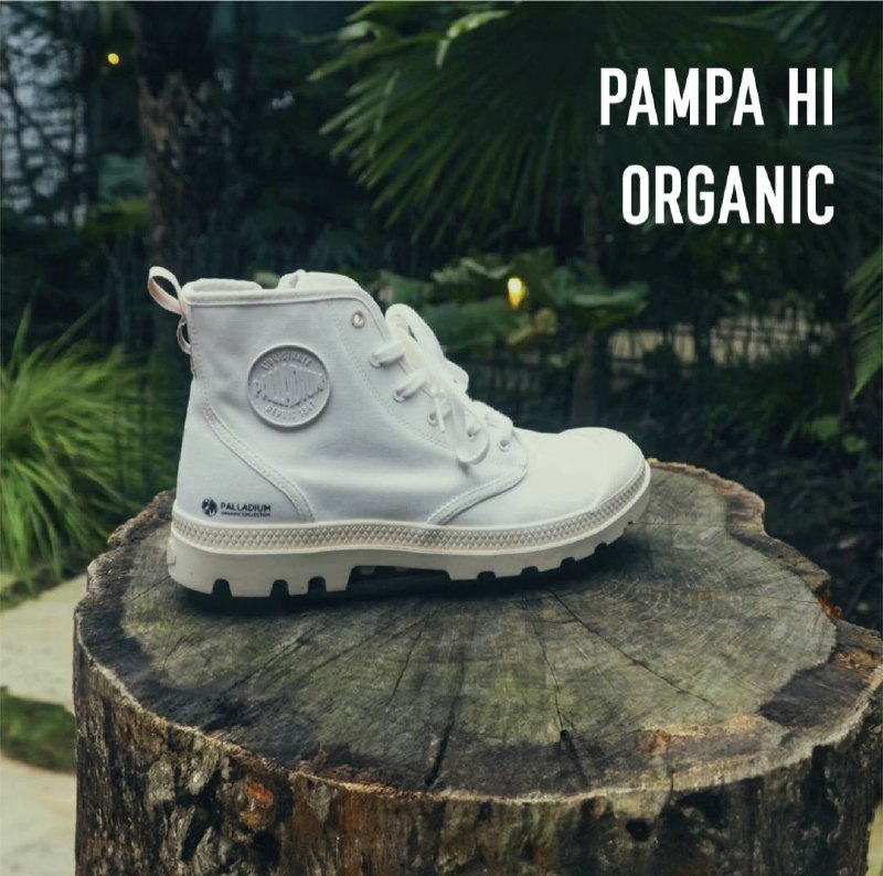 Ботинки Pampa Hi Zip Organic ***🥾***