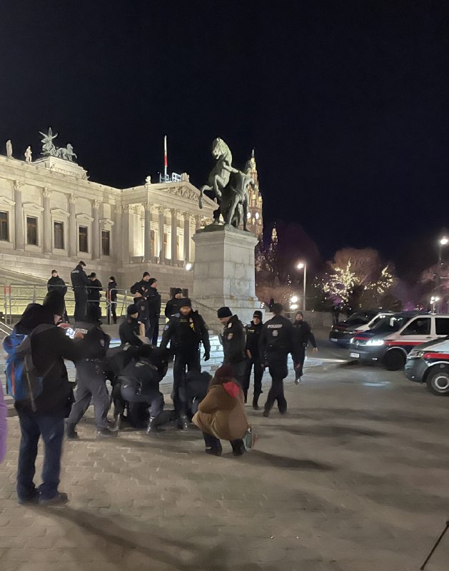 🇵🇸 Palästina Solidarität Österreich - Demos, …