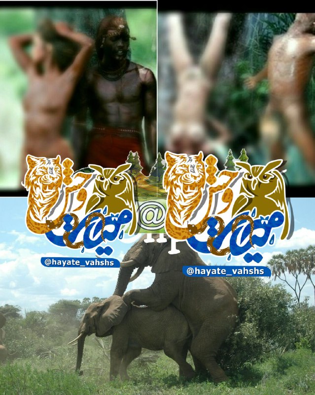 ***❌***قبیله آدم‌خوارها***?***