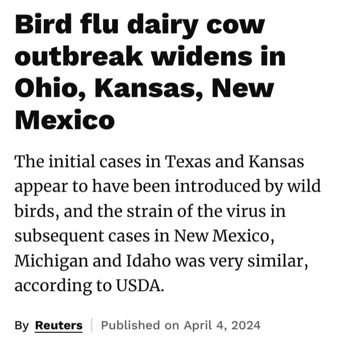 Bird flu has been found in …