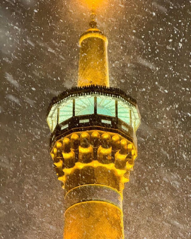 فَرَاشَة لِلحجَّة