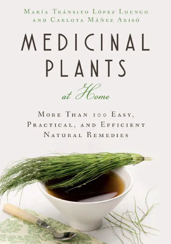 MEDICINAL PLANTS AT HOME: MORE THAN …