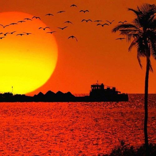 *****☕️***د**ر این غروب زیباپاییزیی