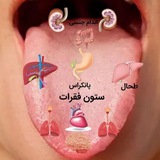 شهبازی هستم مشاور و درمانگر طب …