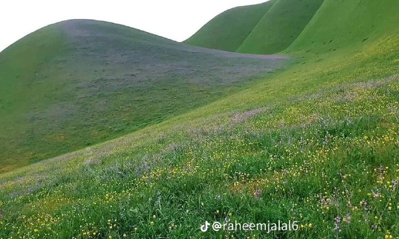 ده فاریاب ښکلا