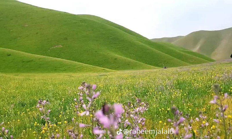 ده فاریاب ښکلا