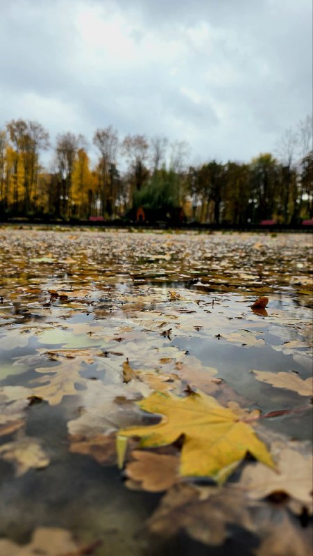 Центральний парк Харкова