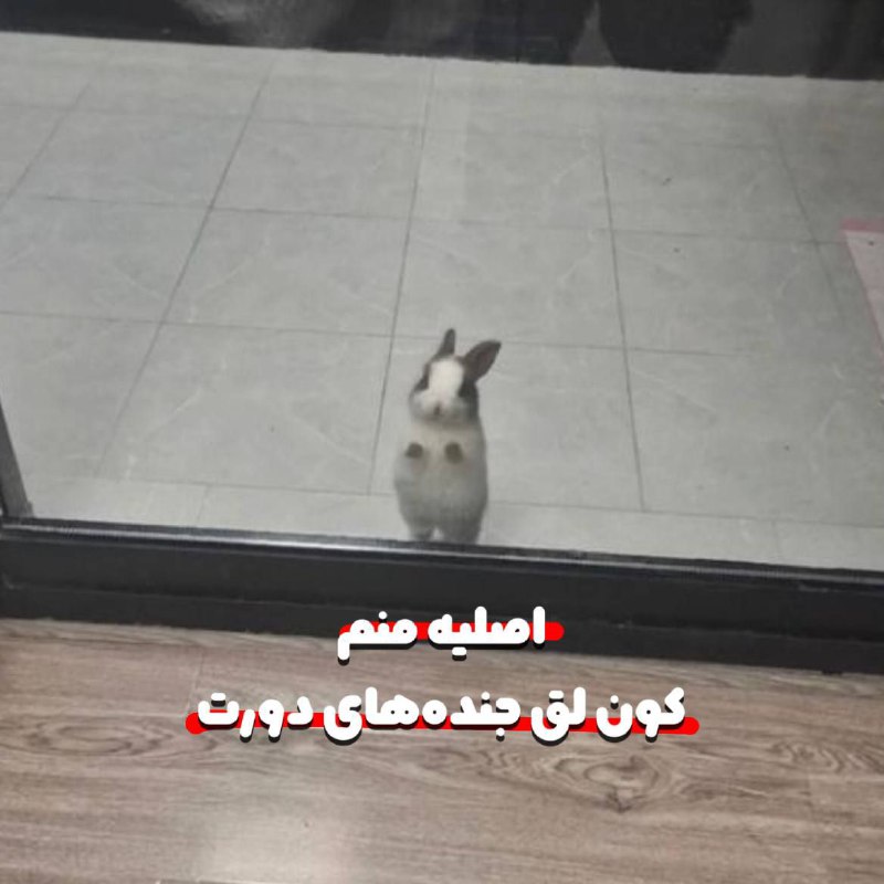 آنرمال!