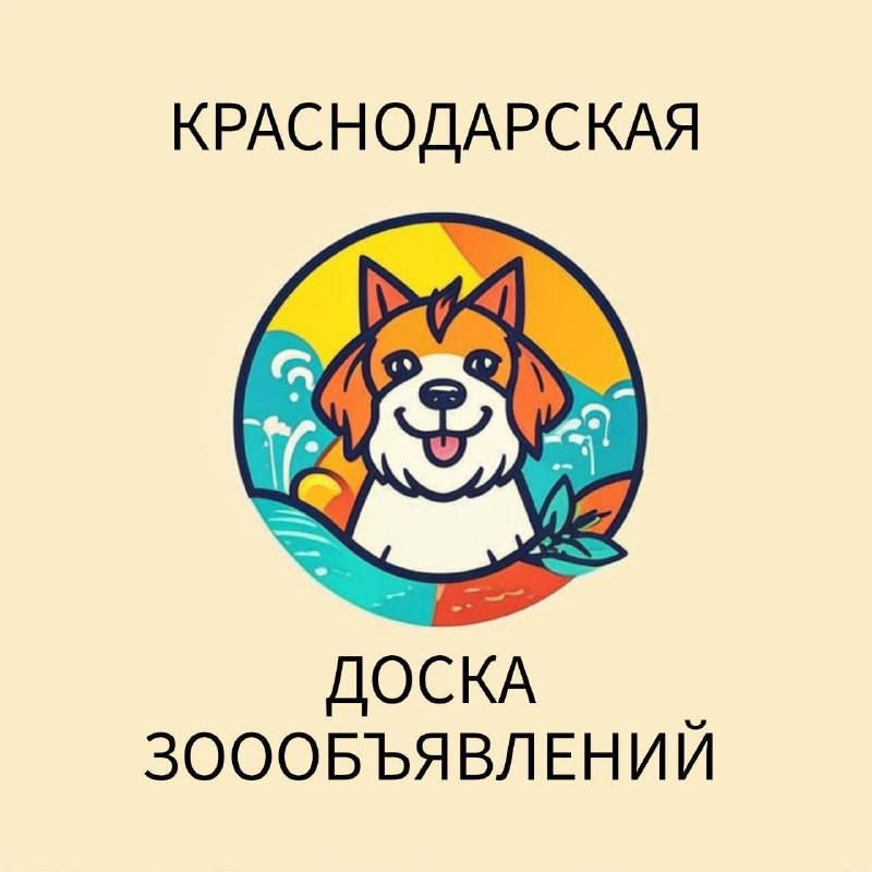 ***🐭***[Краснодарская доска бесплатных зоообъявлений](https://t.me/zverdoska)