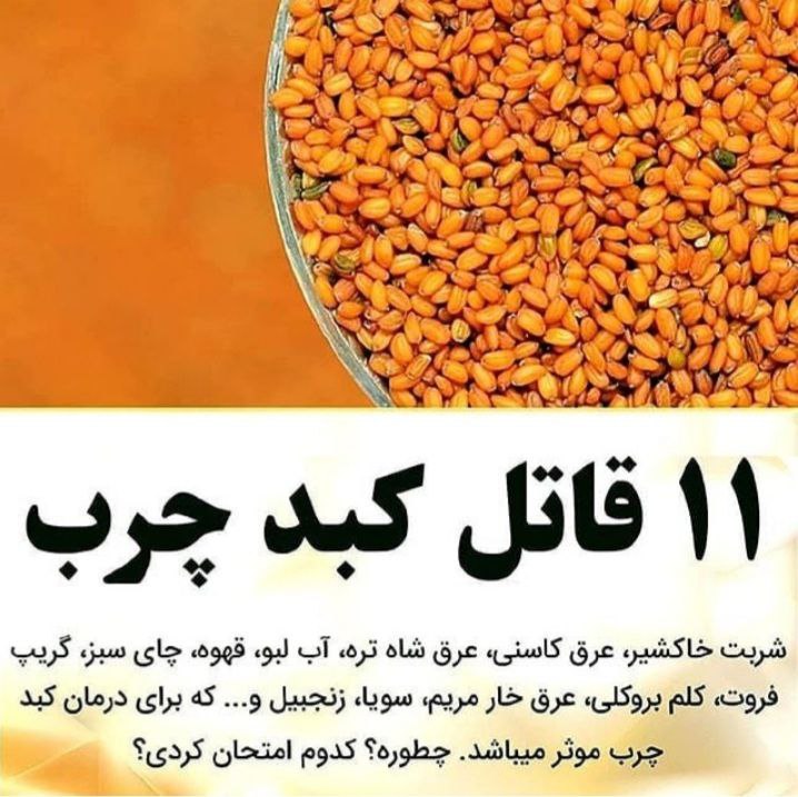 موسسه پاسارگاد کاشان