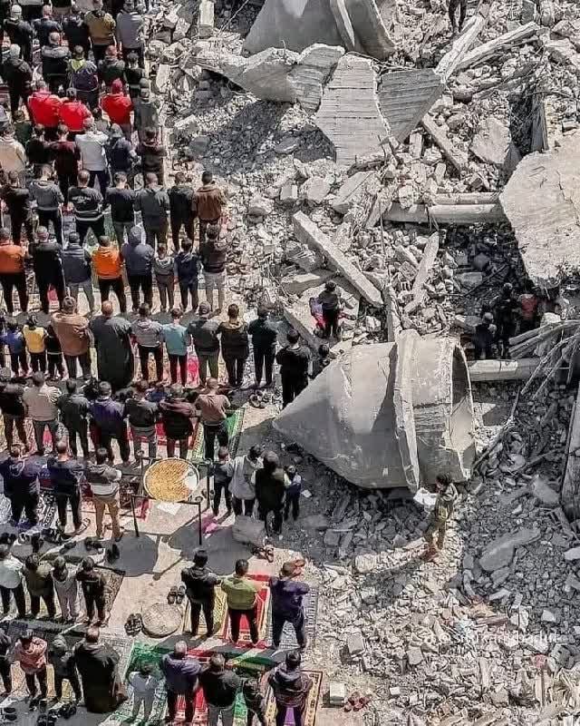آزمایش هوش