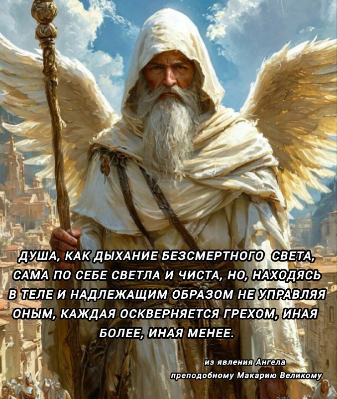 ☦️ Пастырь Добрый (инфо) 🕊️