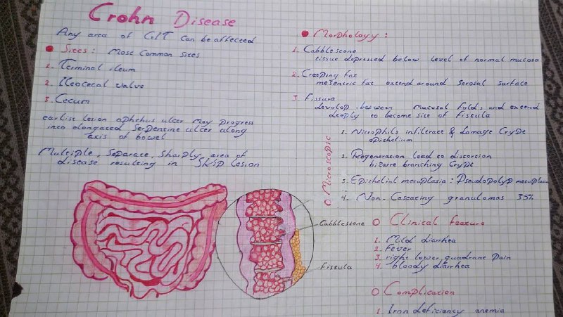 PathoAli