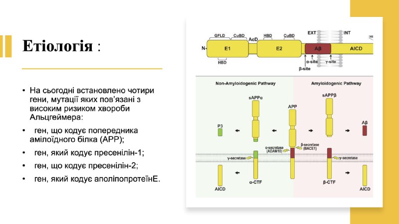 СНТ Кафедри патологічної анатомії і судової …