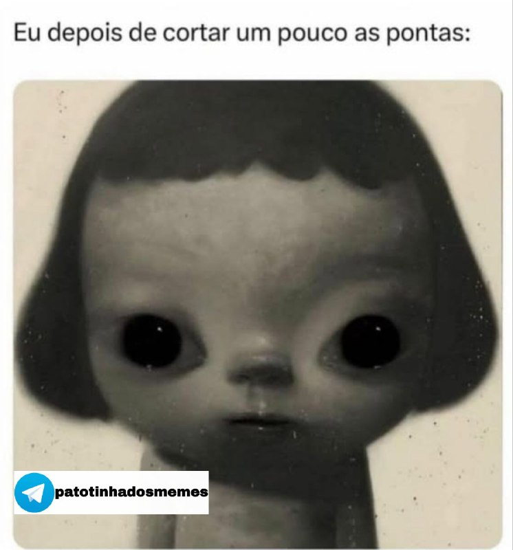 Patotinha dos memes - canal