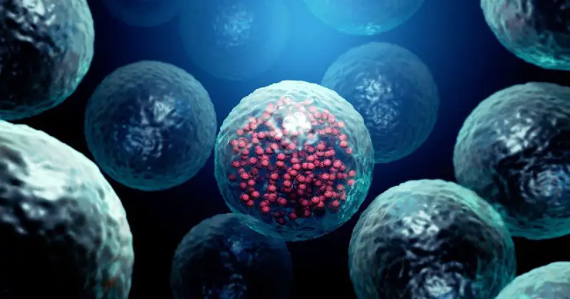 Huffington Post: Τα αμφιλεγόμενα κύτταρα των εmβολίων προέρχονται από εκτρωμένο έμβρυο του '60 και καλλιεργήθηκαν χωρίς τη συγκατάθεση της μητέρας