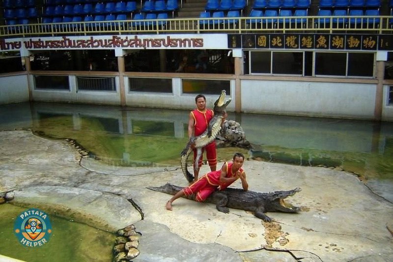 **Крокодиловая ферма Samut Prakan Crocodile Farm …