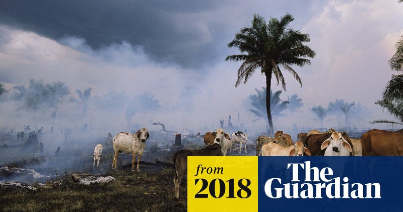 Good job "farmers" and "investors". Humans wiped out about 60% of animals since 1970, all thanks to factory farming and …