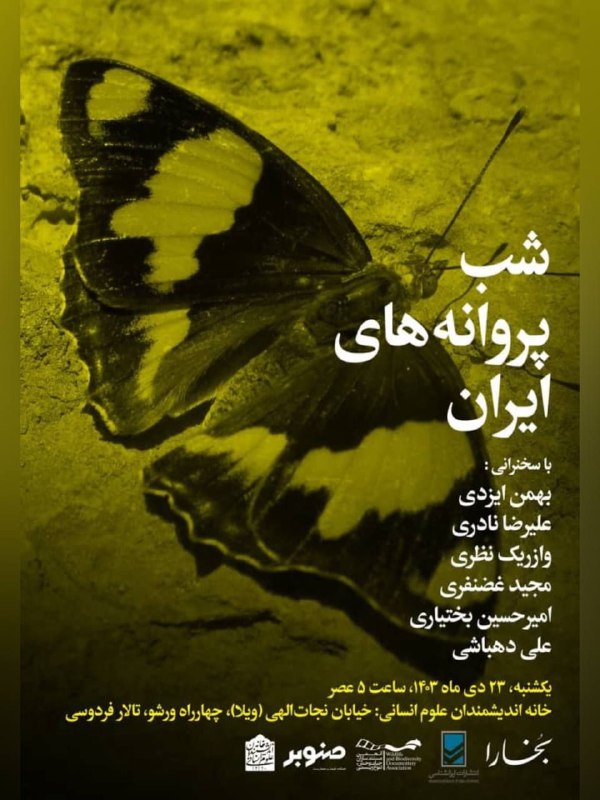 "شب پروانه‌های ایران"