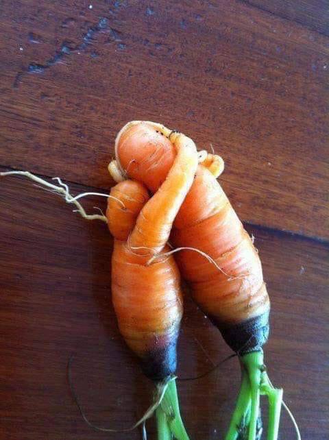 ***Liebe ist überall – auch in …