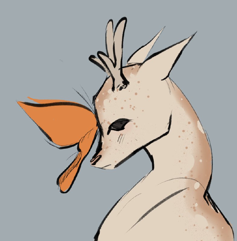 PBoy