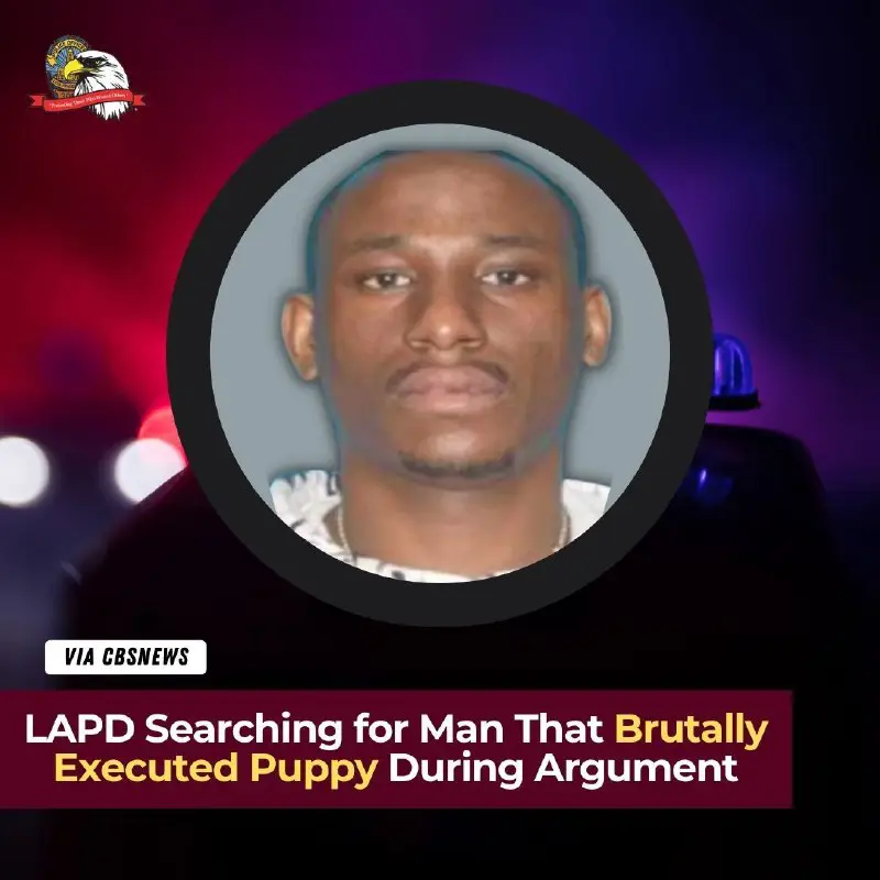 An innocent puppy was brutally executed. …