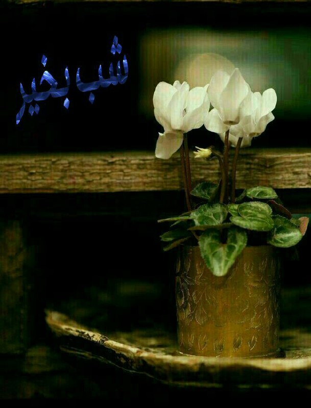 آرزو میکنم در این شب دل …