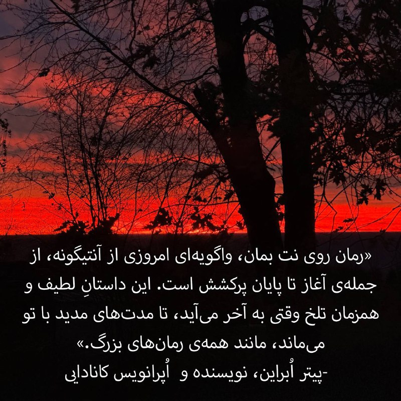 اکرم پدرام‌نیا