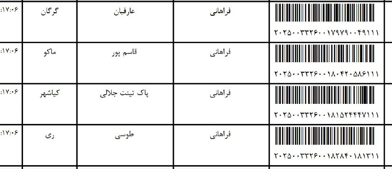 همکاری کفش اختصاصی پگاه