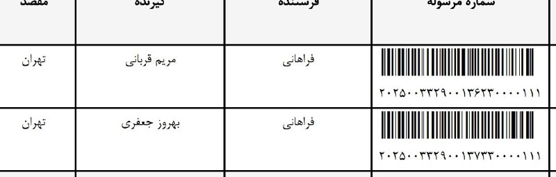 همکاری کفش اختصاصی پگاه