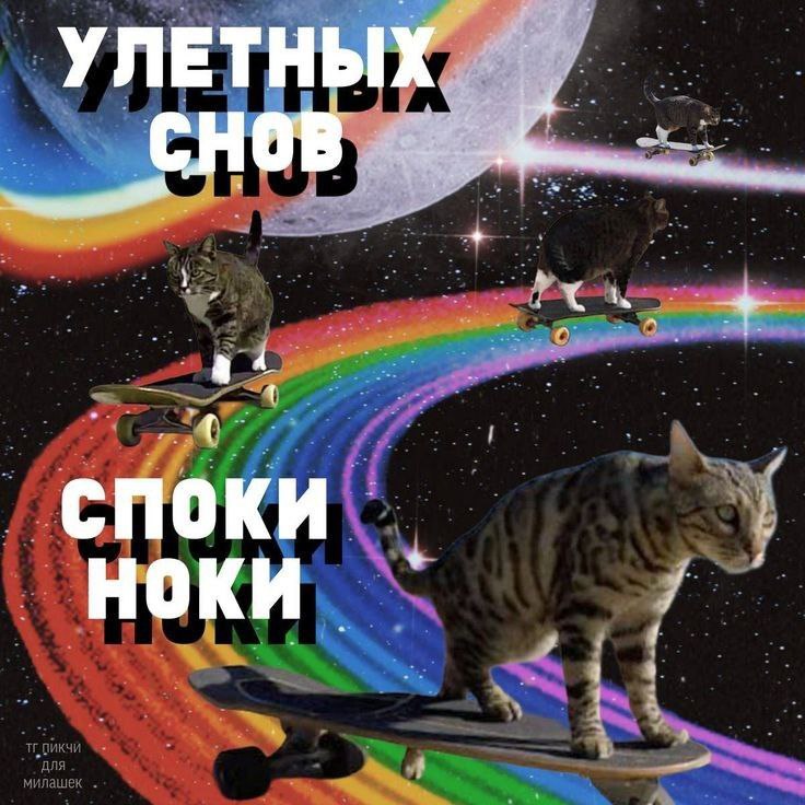 спокойной ночи***🥱***