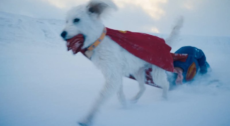 Es hermoso, primeros vistazos de Krypto …