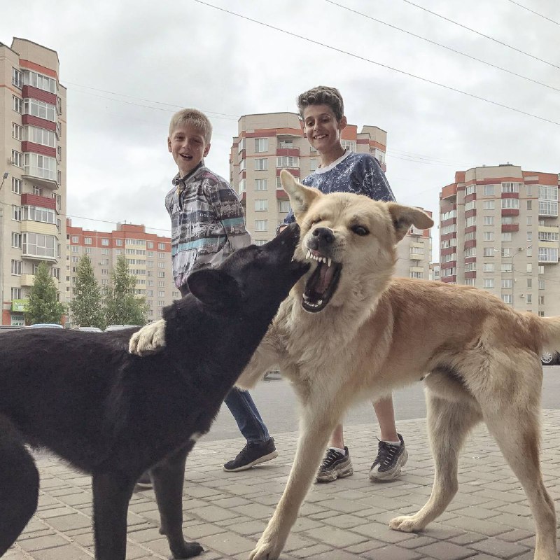 ***⚡️***Дополнительный день, чтобы увидеть выставку «Оптика …