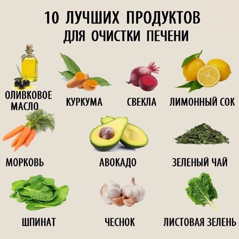 **Какие продукты полезны для печени?** ***💥***